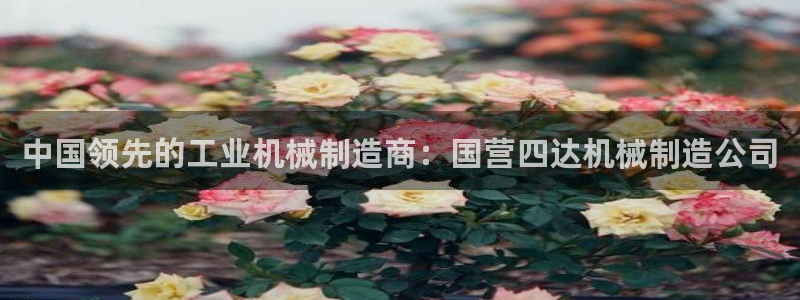 彩神通官方网