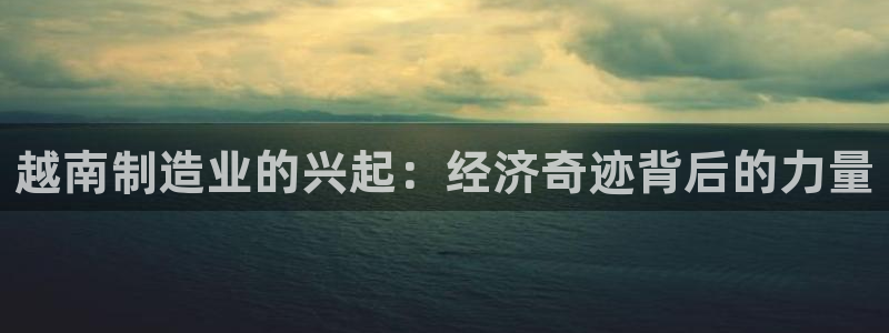 彩神VII购彩中心：越南制造业的兴起：经济奇迹背后的力量