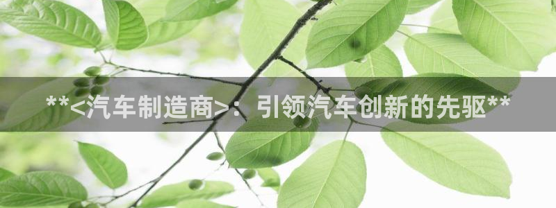 彩神ix平台：**<汽车制造商>：引领汽车创新的先驱**