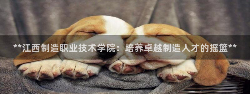 彩神vip官方网站：**江西制造职业技术学院：培养卓越制造人