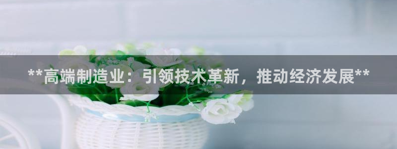 彩神旗下有哪些平台可以看：**高端制造业：引领技术革新，推动
