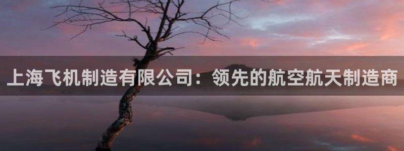 彩神平台能提现吗：上海飞机制造有限公司：领先的航空航天制造商