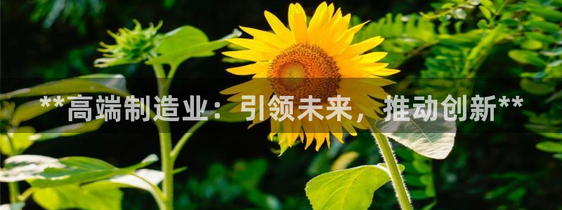 彩神vll首页