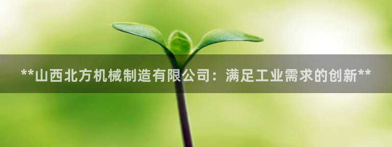 彩神8是正规平台吗