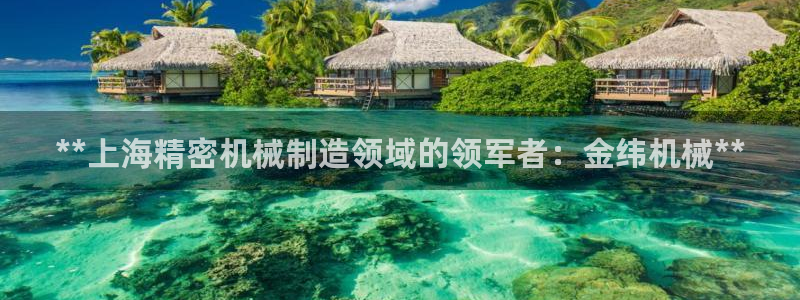 彩神合法吗.是国家认可的吗：**上海精密机械制造领域的领军者：金纬机械**