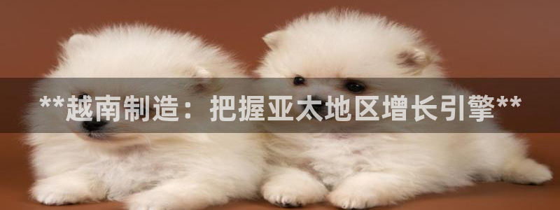 彩神vip购彩大厅在哪