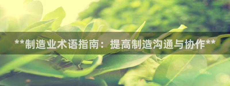 彩神是正规平台吗知乎：**制造业术语指南：提高制造沟通与协作**
