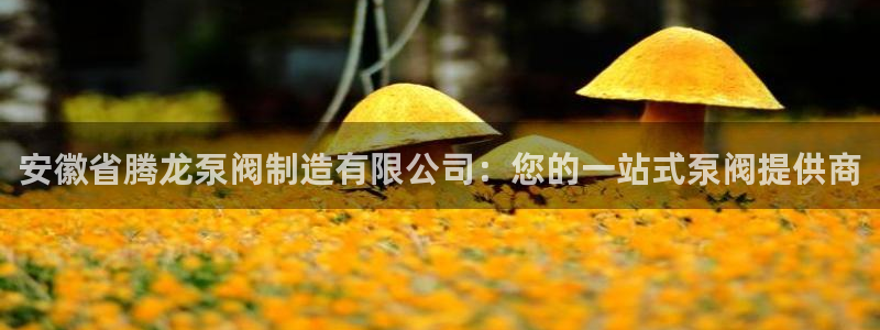 彩神v