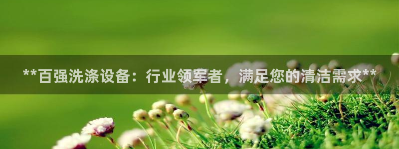 彩神vii购彩l心：**百强洗涤设备：行业领军者，满足您的清