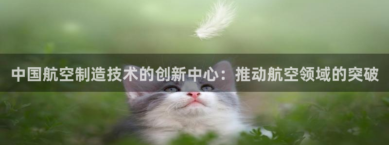 彩神vⅲ下载安装：中国航空制造技术的创新中心：推动航空领域的