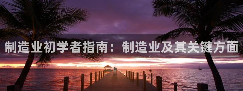彩神用户登录：制造业初学者指南：制造业及其关键方面