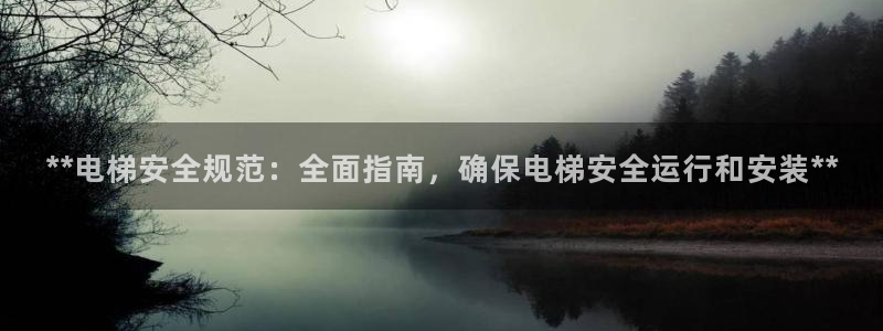 彩神到底能不能赚钱：**电梯安全规范：全面指南，确保电梯安全运行和安装**