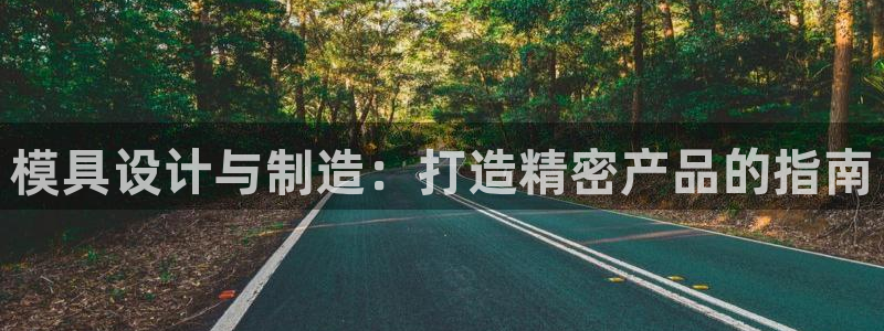 彩神数码科技有限公司