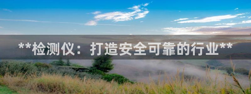 彩神新微聊：**检测仪：打造安全可靠的行业**
