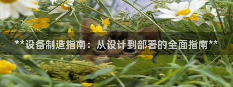 彩神网能赚钱是怎么回事