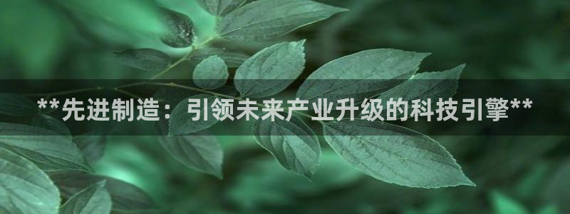 彩神是怎样一个平台