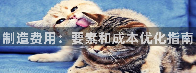 彩神争霸官方下载