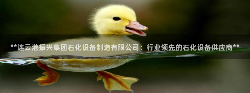 彩神大发cp：**连云港振兴集团石化设备制造有限公司：行业领