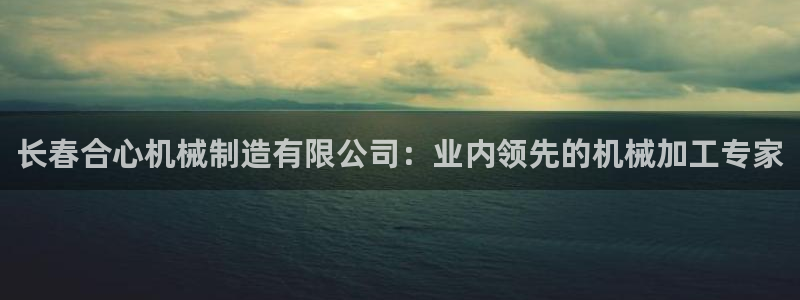 彩神V8有限公司