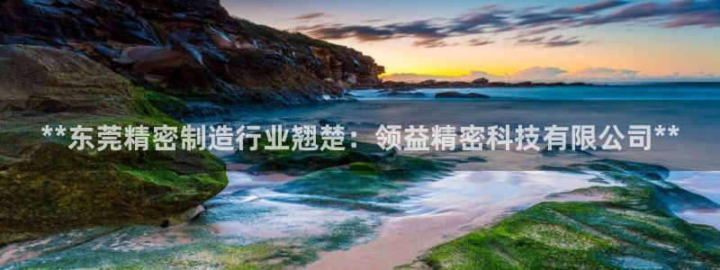 彩神怎么样可以提现：**东莞精密制造行业翘楚：领益精密科技有限公司**