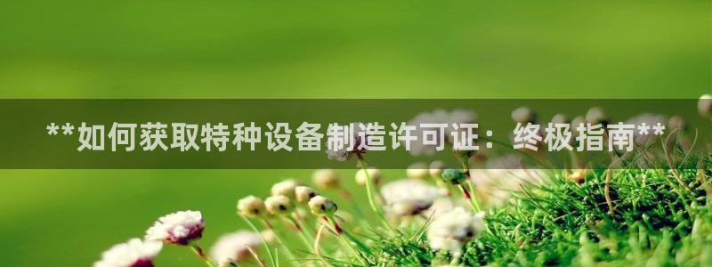 彩神viii下载安卓：**如何获取特种设备制造许可证：终极指南**