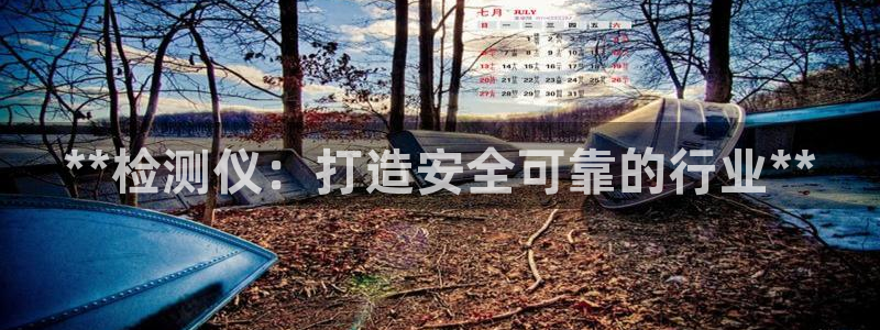 彩神怎么样可以提现：**检测仪：打造安全可靠的行业**