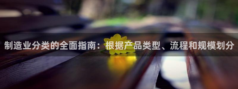 彩神vii官网大赢家