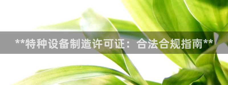 彩神V8平台：**特种设备制造许可证：合法合规指南**