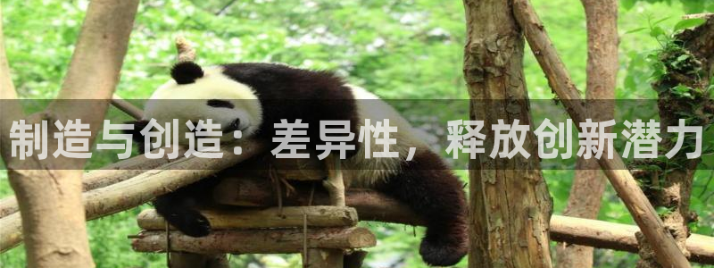 彩神v8下载app：制造与创造：差异性，释放创新潜力