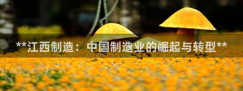 彩神vl购彩大厅：**江西制造：中国制造业的崛起与转型**