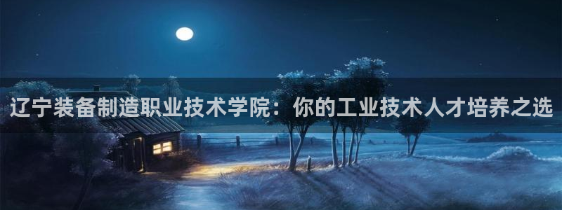 彩神大发黑平台：辽宁装备制造职业技术学院：你的工业技术人才培养之选