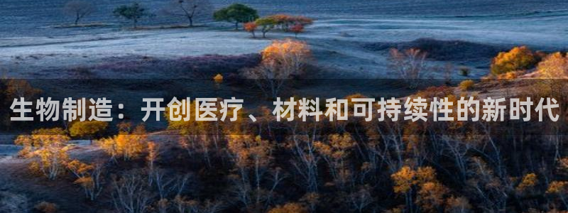 彩神V购彩大厅