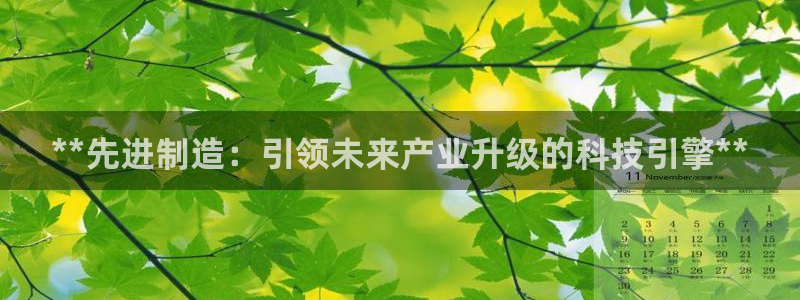 彩神购彩-购彩大厅入口：**先进制造：引领未来产业升级的科技引擎**