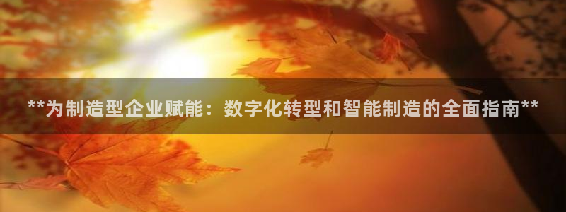 彩神8是正规平台吗是正品吗：**为制造型企业赋能：数字化转型和智能制造的全面指南**