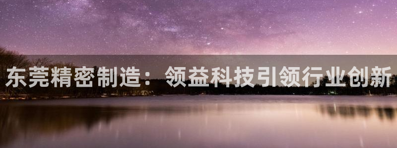 彩神v8是真的挣钱吗：东莞精密制造：领益科技引领行业创新