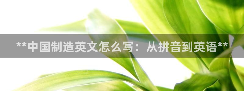 彩神合法吗.是国家认可的吗：**中国制造英文怎么写：从拼音到英语**