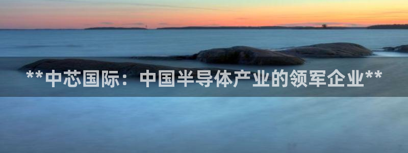 彩神vlll官网网上购彩：**中芯国际：中国半导体产业的领军企业**
