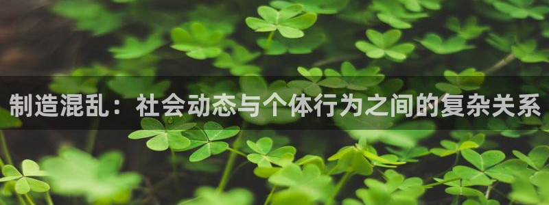 彩神的邀请码是多少：制造混乱：社会动态与个体行为之间的复杂关系