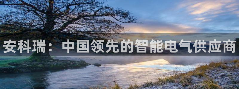 彩神v8是一个什么平台游戏：安科瑞：中国领先的智能电气供应商