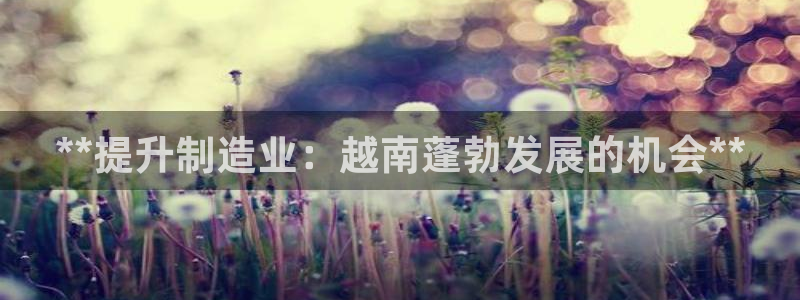 彩神ⅴll用户登录：**提升制造业：越南蓬勃发展的机会**