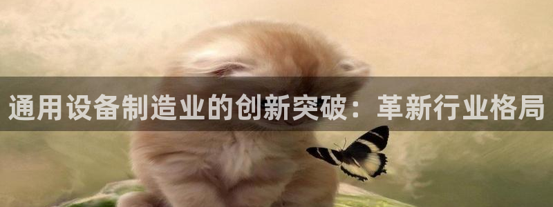 彩神8彩平台客服：通用设备制造业的创新突破：革新行业格局