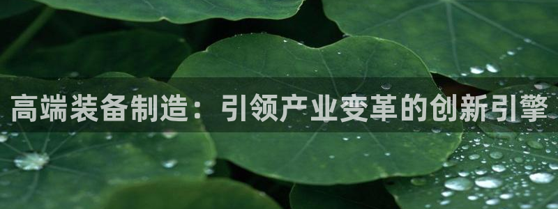 彩神ix可靠吗：高端装备制造：引领产业变革的创新引擎