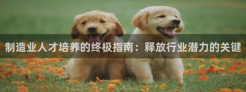 彩神天下专家专栏