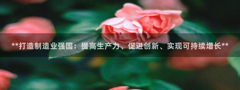 彩神网正规吗：**打造制造业强国：提高生产力、促进创新、实现