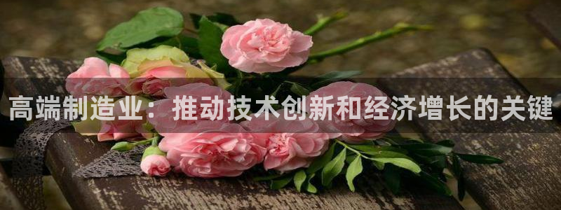 彩神购彩购彩大厅入口v：高端制造业：推动技术创新和经济增长的