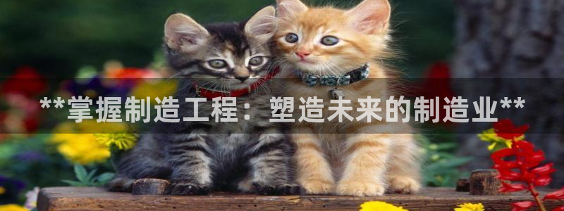 彩神是什么平台的游戏