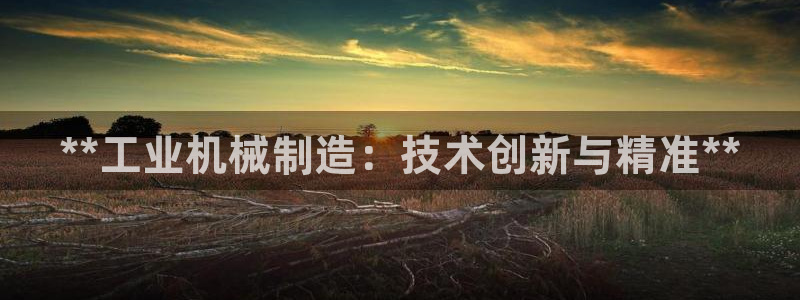 彩神是真的吗：**工业机械制造：技术创新与精准**