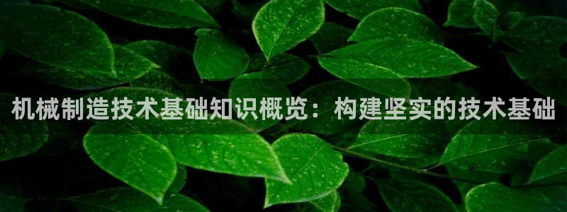彩神正规吗