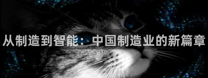 彩神VII官方版：从制造到智能：中国制造业的新篇章