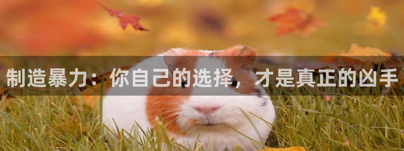 彩神争霸官方登录：制造暴力：你自己的选择，才是真正的凶手